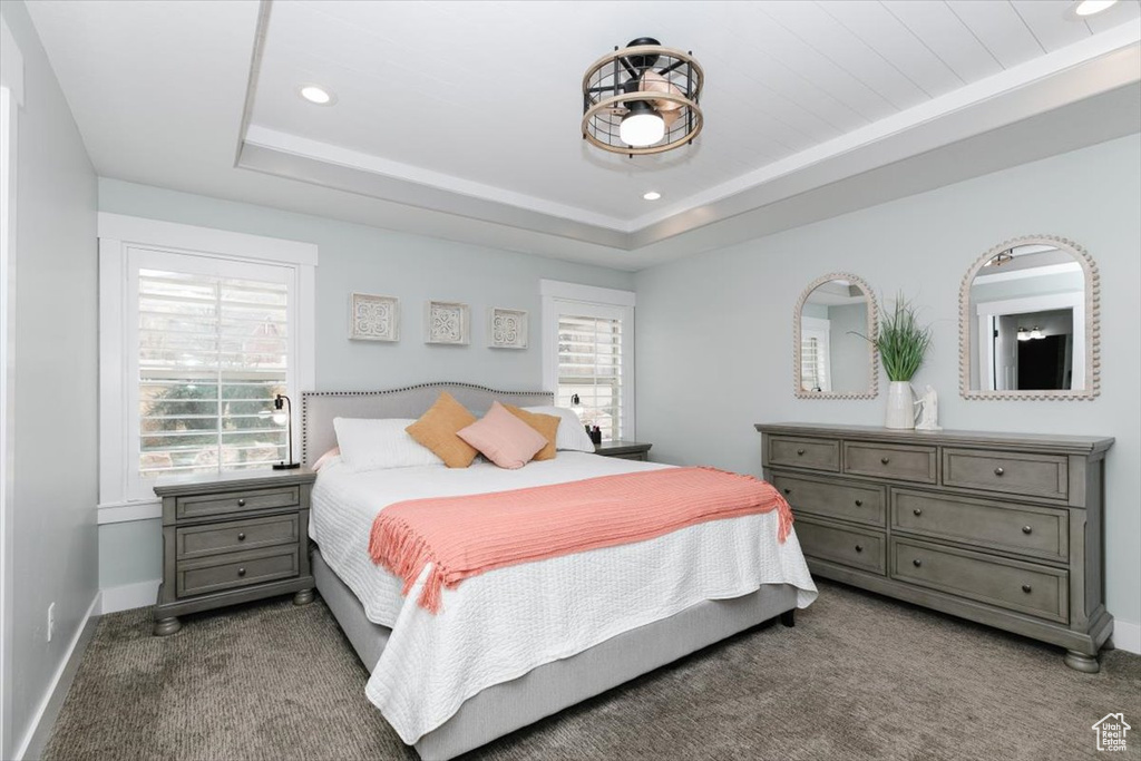 Bedroom with multiple windows, a raised ceiling, and carpet flooring