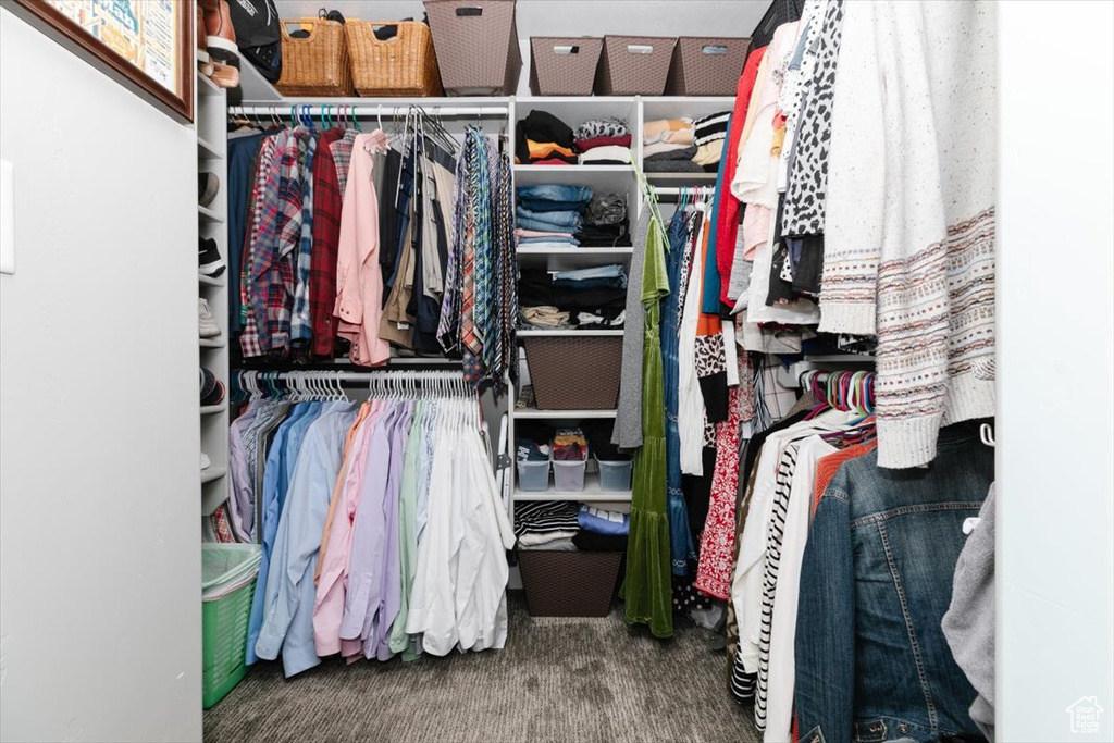 Walk in closet featuring carpet