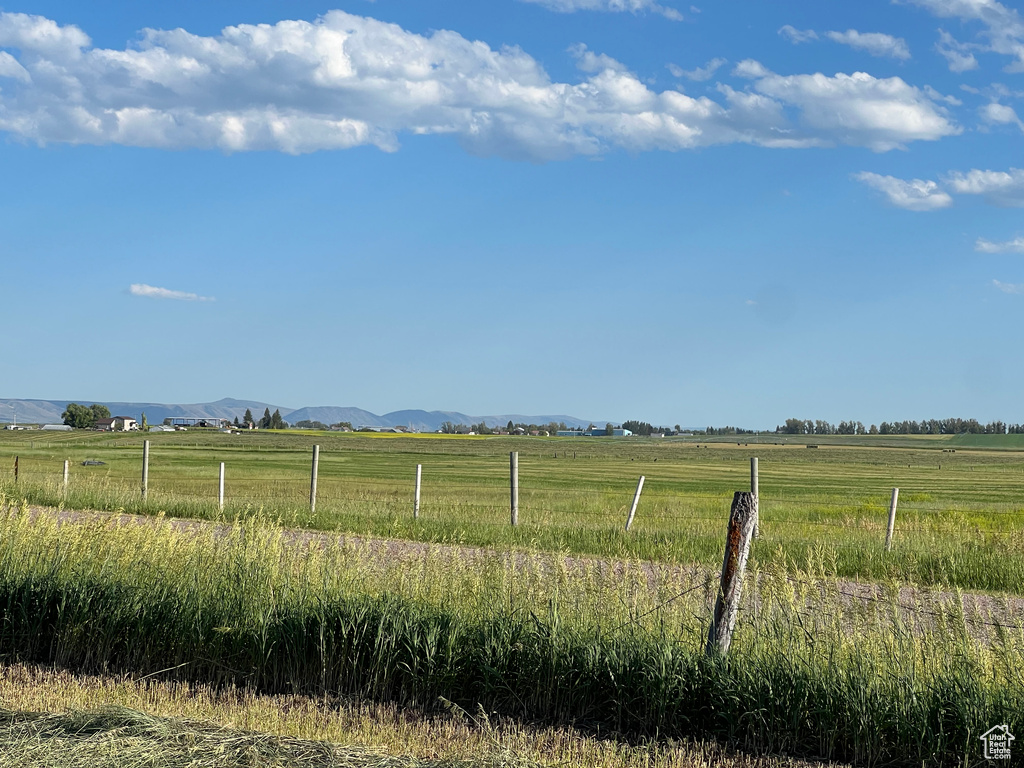 View of yard with a mountain view and a rural view