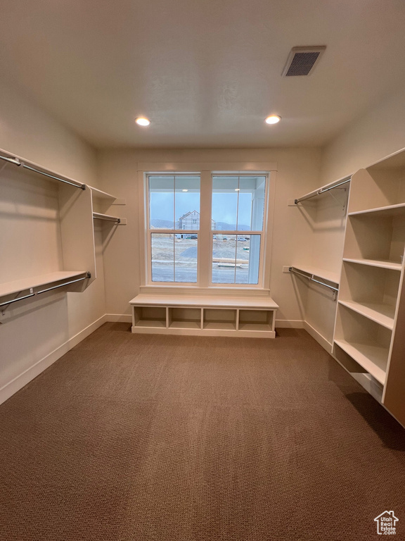 Walk in closet with carpet floors