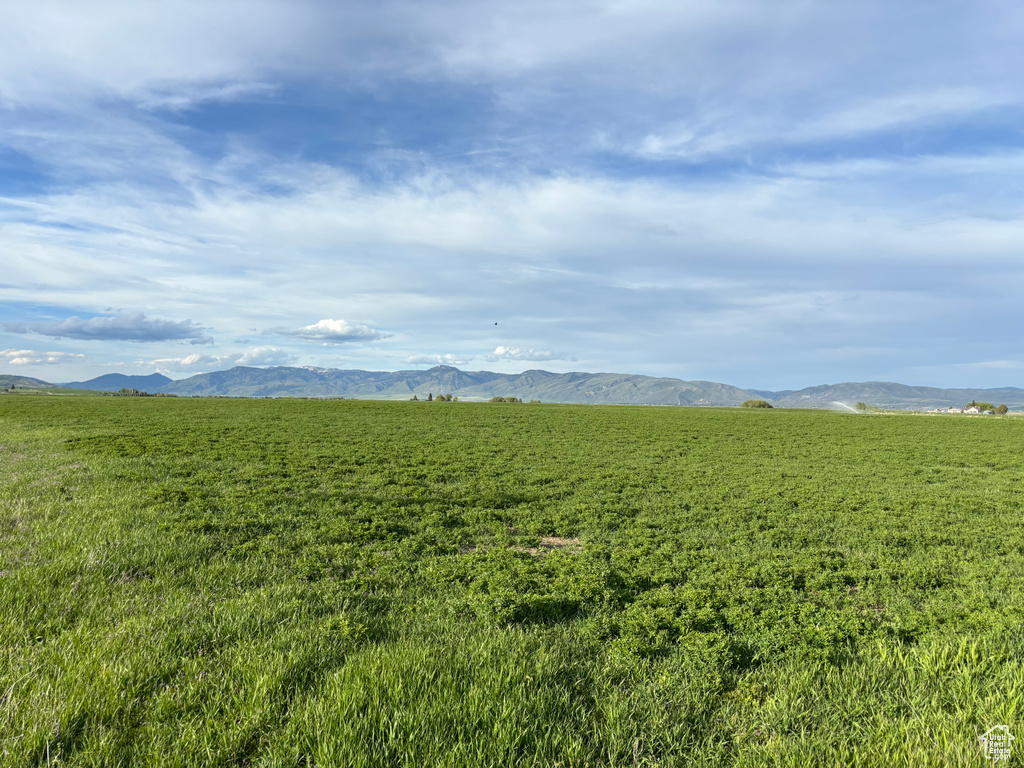 View of mountain background