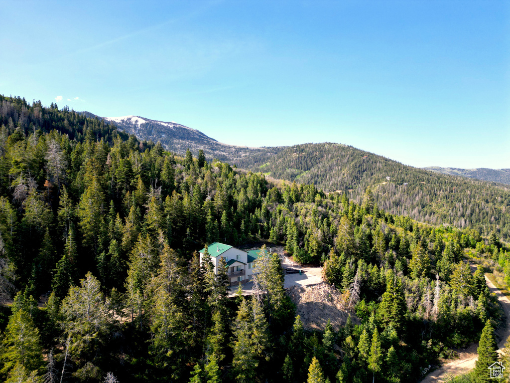 View of mountain background featuring a heavily wooded area