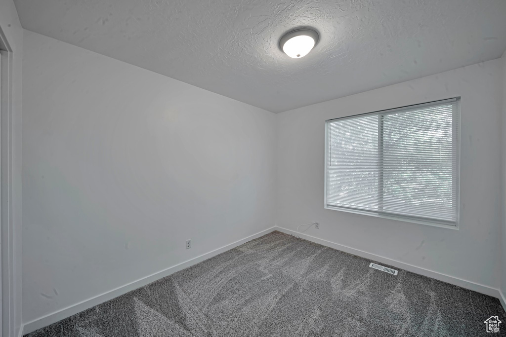 Carpeted spare room with a textured ceiling