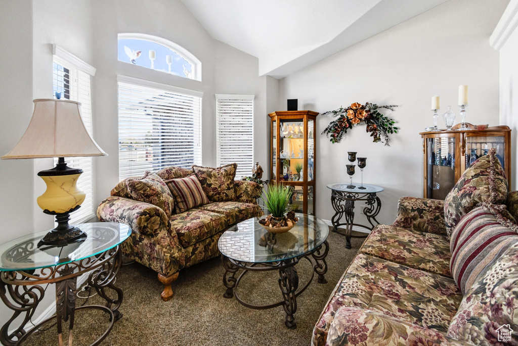 Living room featuring high vaulted ceiling and carpet