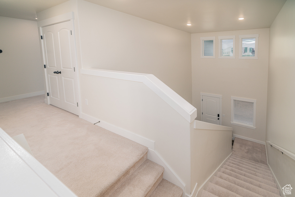 Stairs featuring carpet flooring