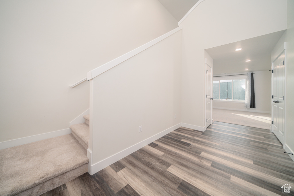 Stairs with hardwood / wood-style floors