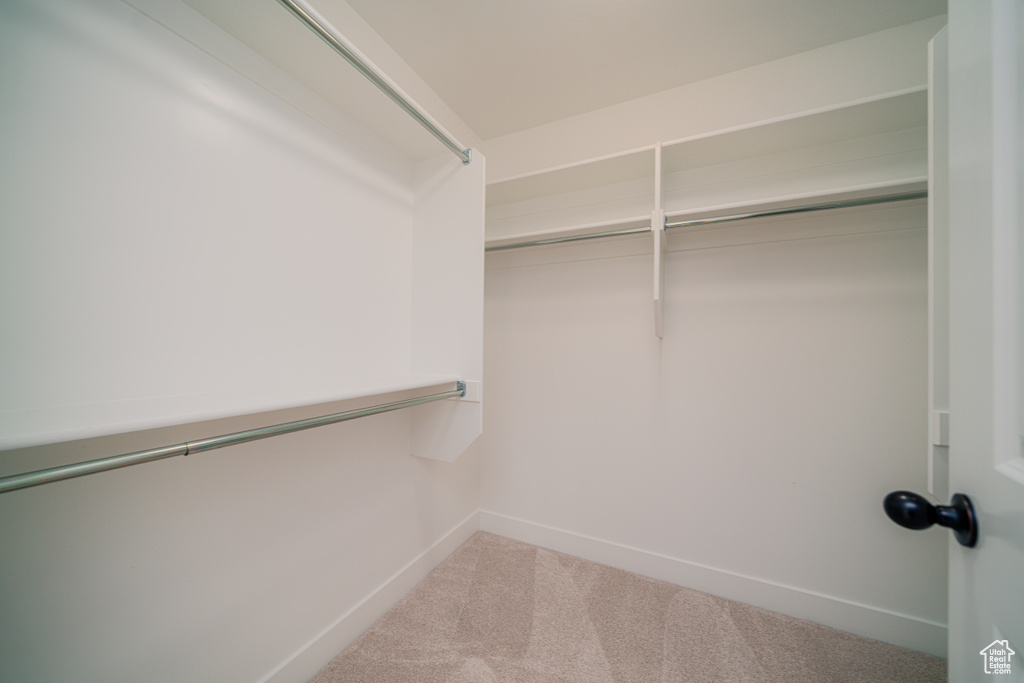 Walk in closet featuring carpet flooring