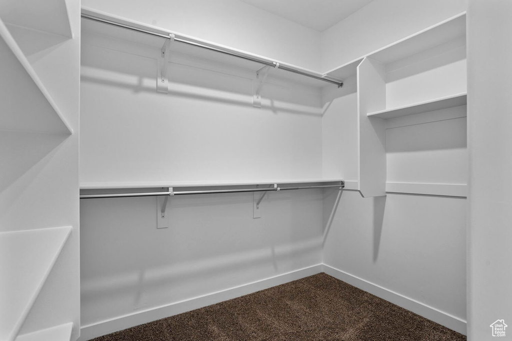 Walk in closet featuring carpet