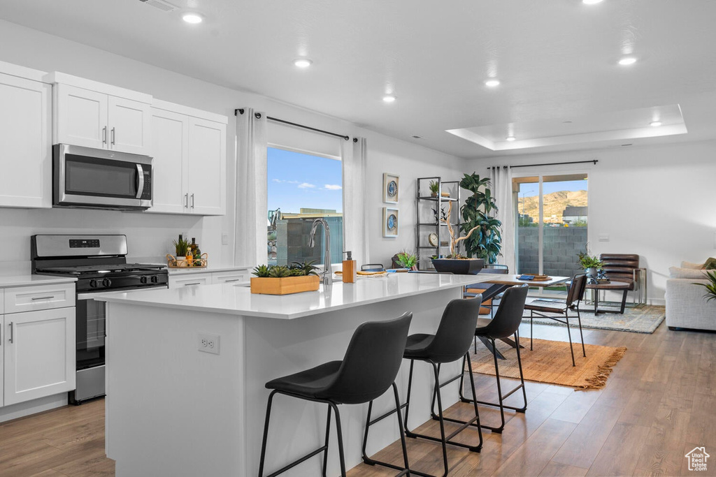 Kitchen with white cabinetry, a raised ceiling, an island with sink, hardwood / wood-style flooring, and stainless steel appliances