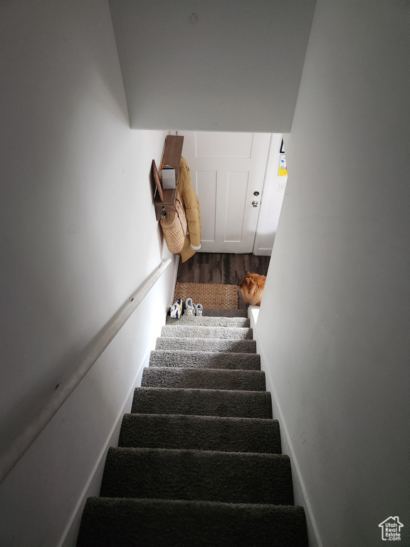 Stairs featuring wood-type flooring
