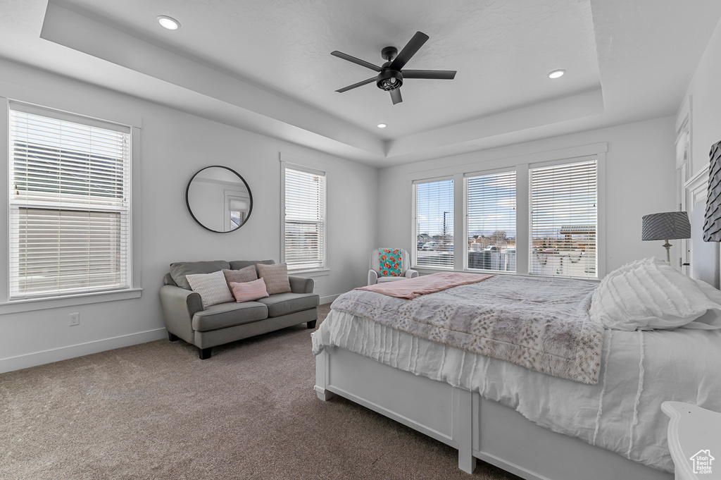 Carpeted bedroom featuring a raised ceiling, ceiling fan, and multiple windows