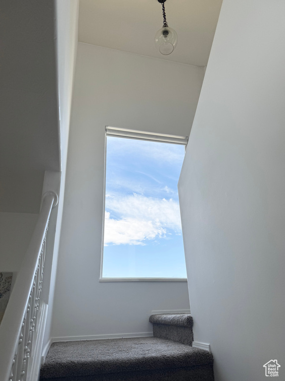 Stairs with carpet and baseboards