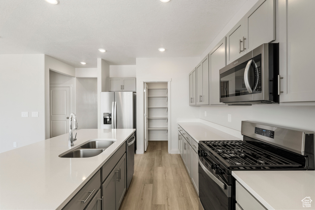 Kitchen with appliances with stainless steel finishes, a sink, gray cabinetry, light countertops, and light wood finished floors