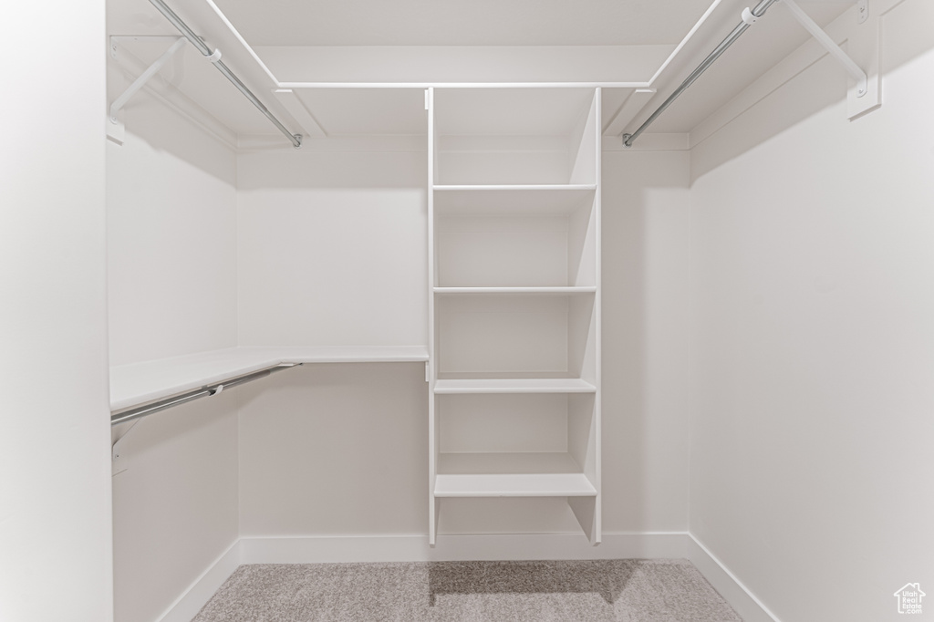 Walk in closet featuring carpet flooring