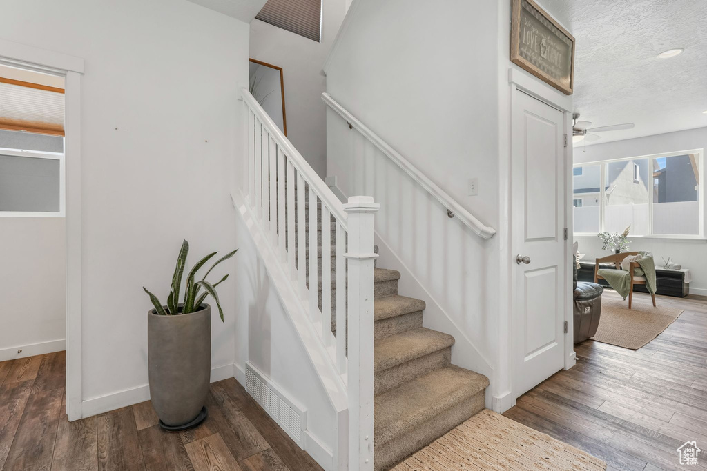 Staircase with wood finished floors, a ceiling fan, and baseboards