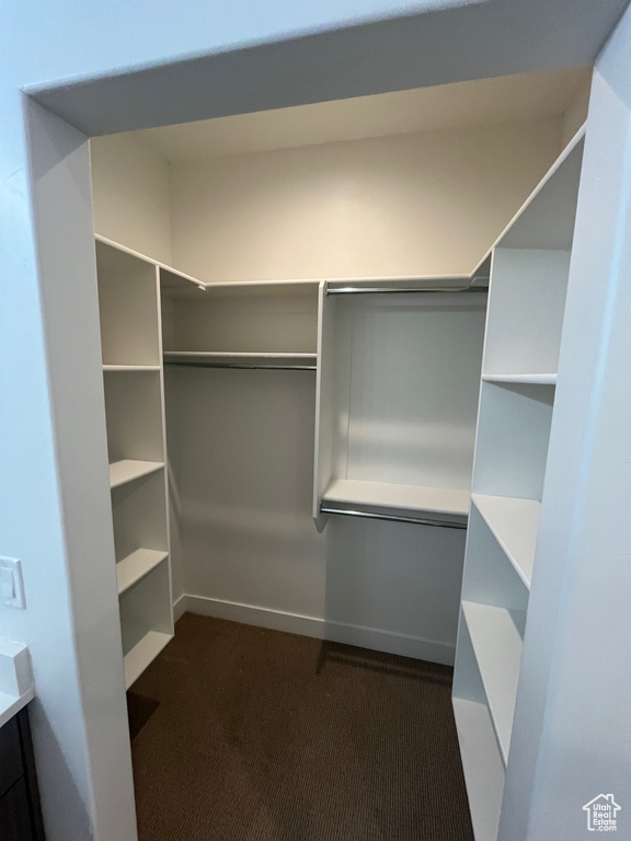 Walk in closet with dark carpet