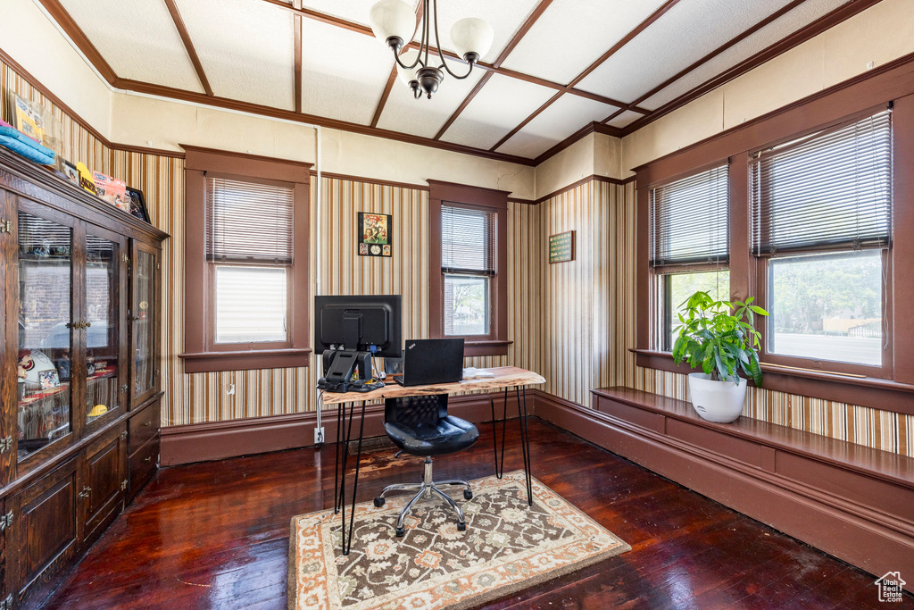 Office area with dark hardwood / wood-style flooring