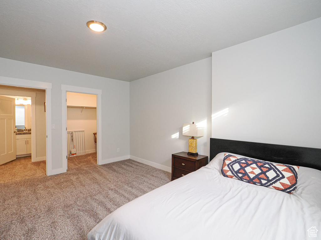 Bedroom featuring a walk in closet and light colored carpet