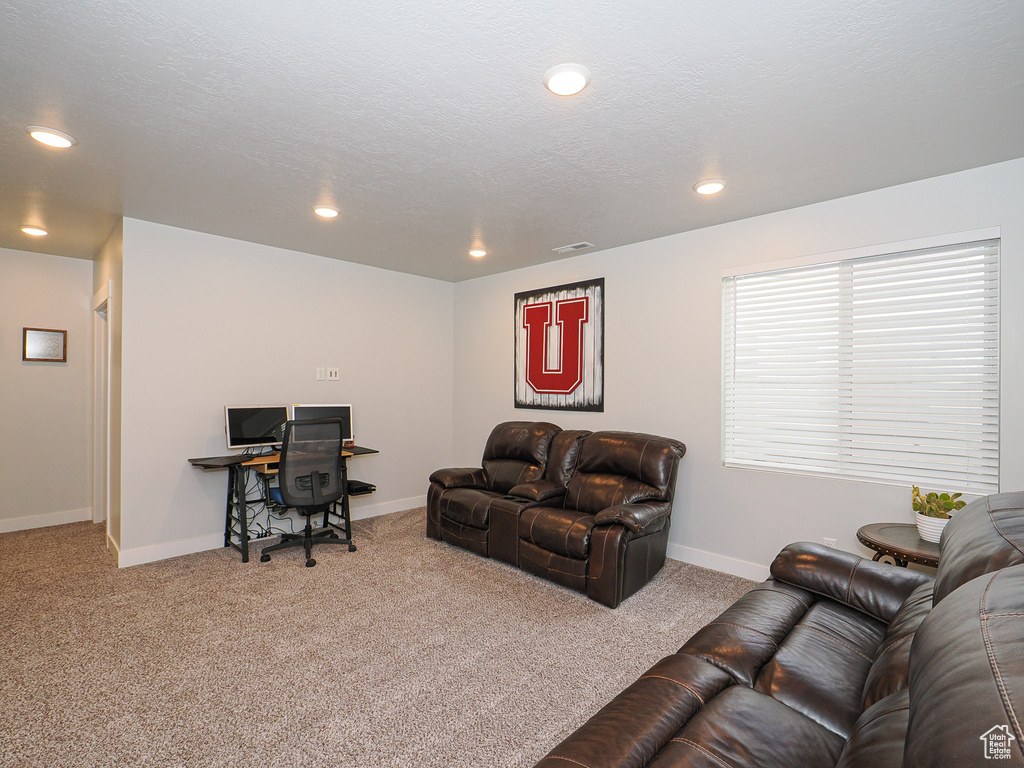 Living room with carpet flooring and a textured ceiling