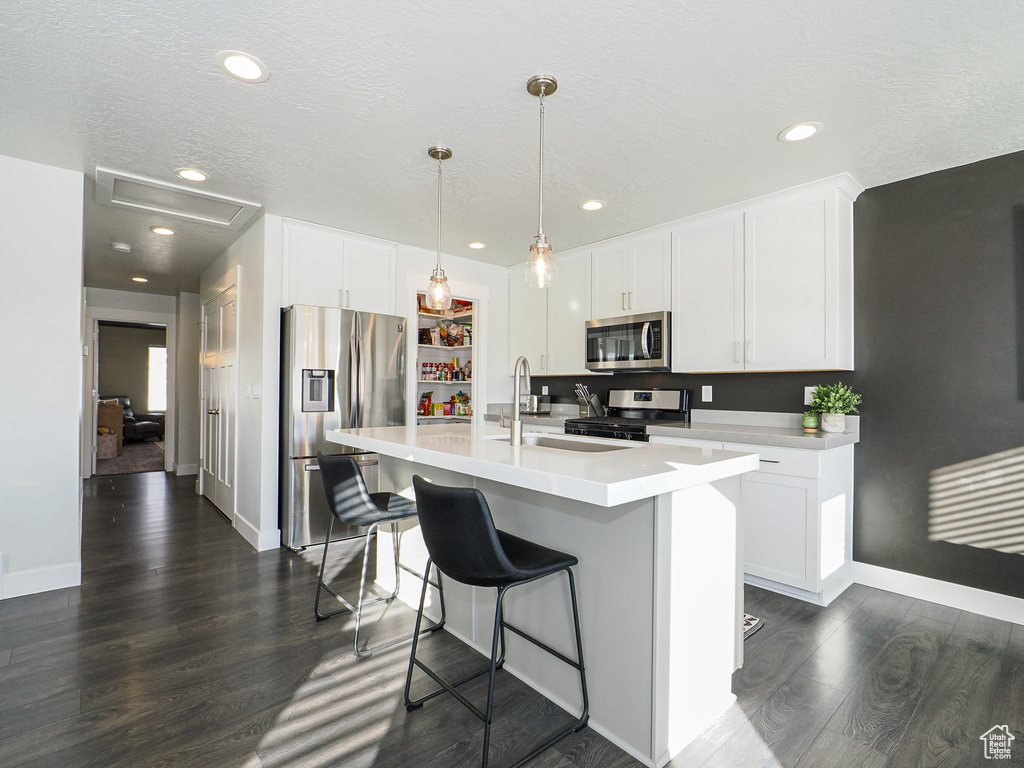 Kitchen with appliances with stainless steel finishes, dark hardwood / wood-style floors, pendant lighting, an island with sink, and white cabinets