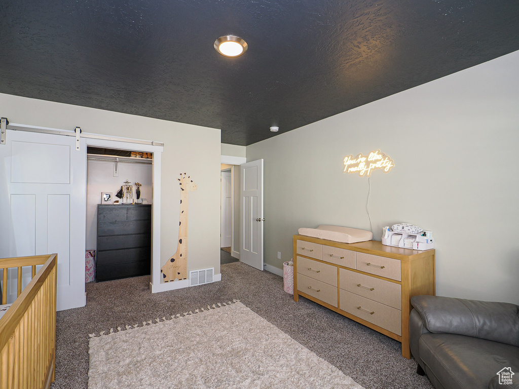 Carpeted bedroom featuring a barn door