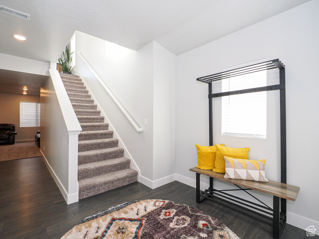 Foyer entrance with a wealth of natural light and dark hardwood / wood-style flooring