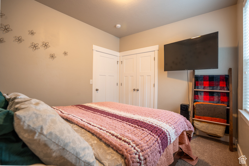 Bedroom with a closet and carpet flooring
