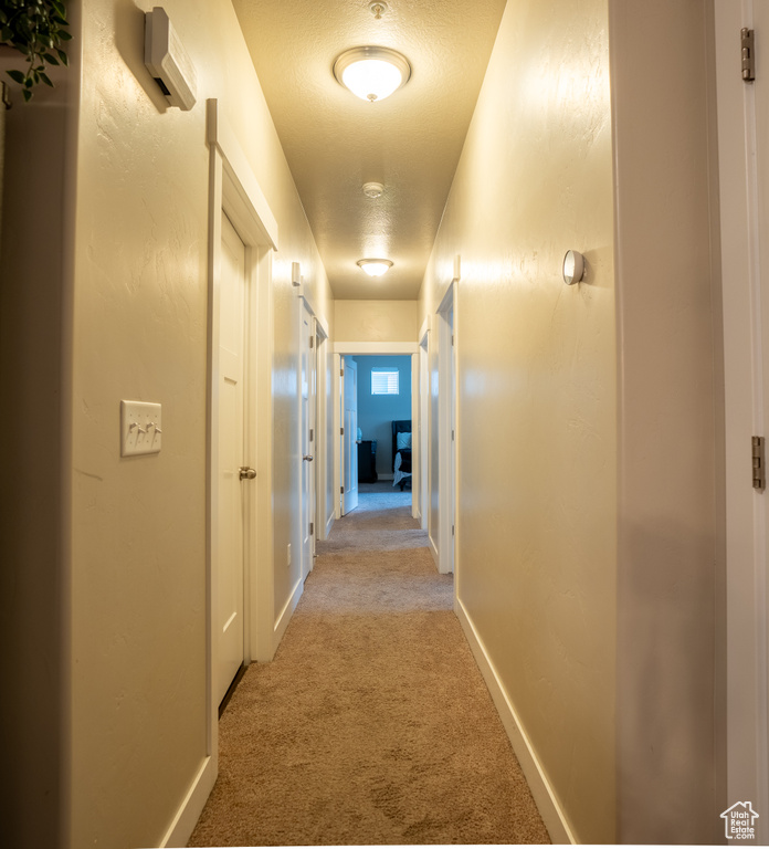 Hallway featuring light colored carpet and a textured ceiling