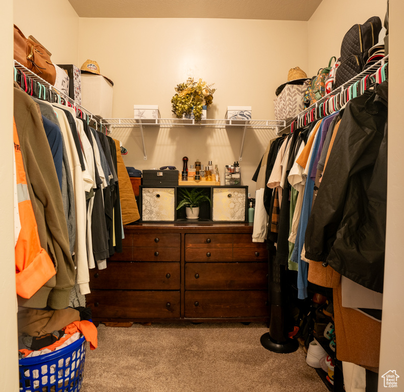 Spacious closet with light carpet