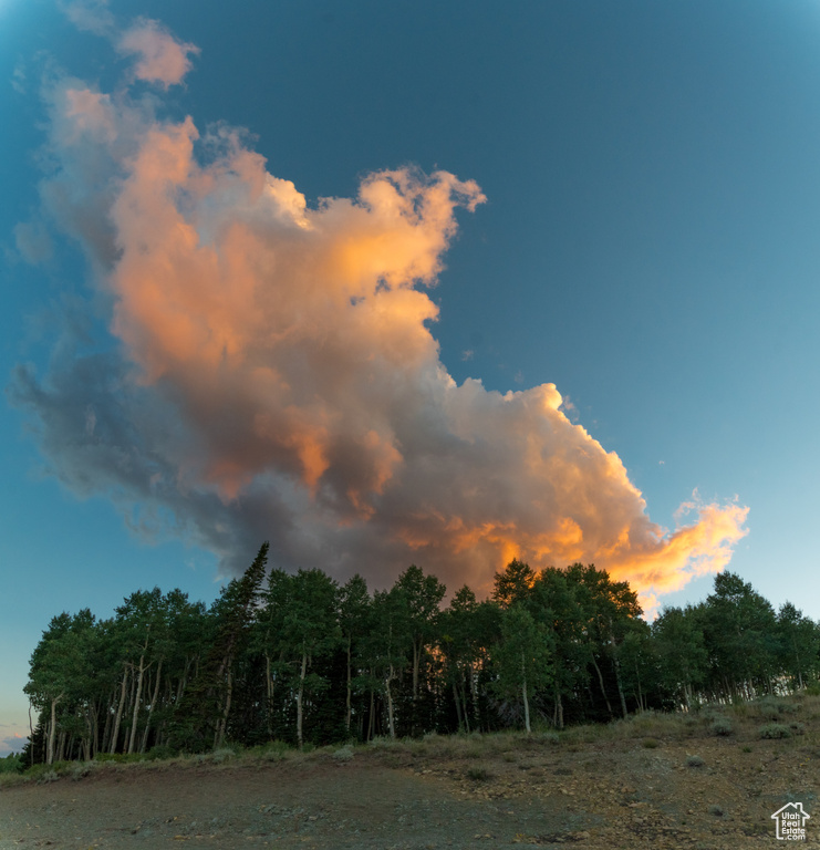 View of nature at dusk