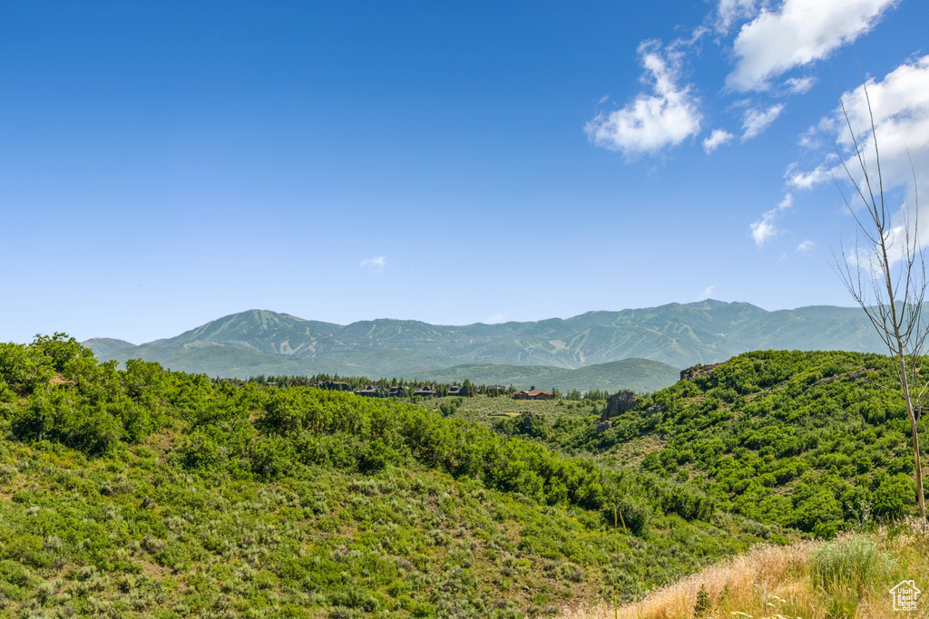 View of mountain backdrop