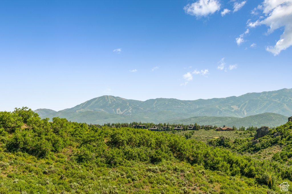 Mountain view