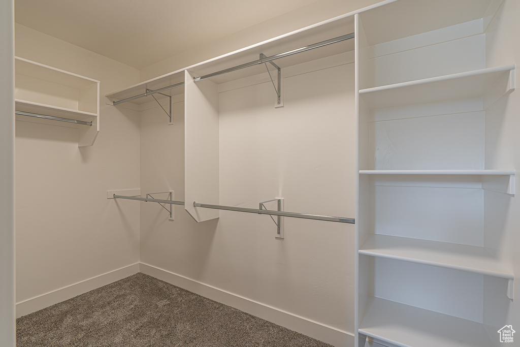 Spacious closet featuring dark carpet