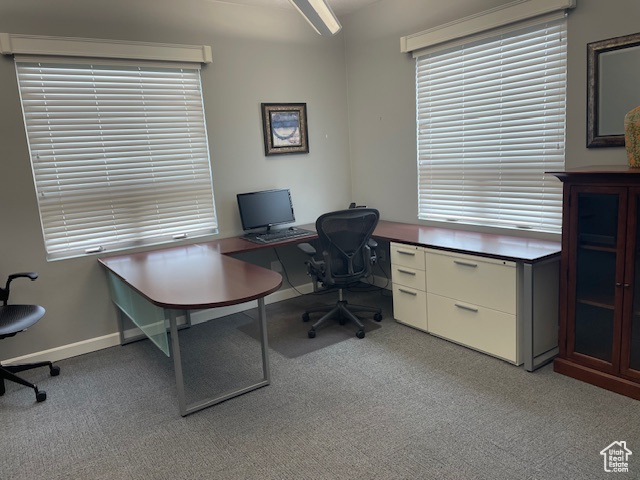 Carpeted home office with baseboards and plenty of natural light