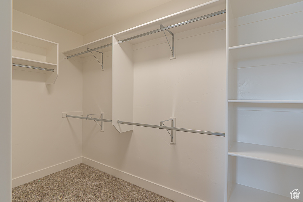 Spacious closet with carpet