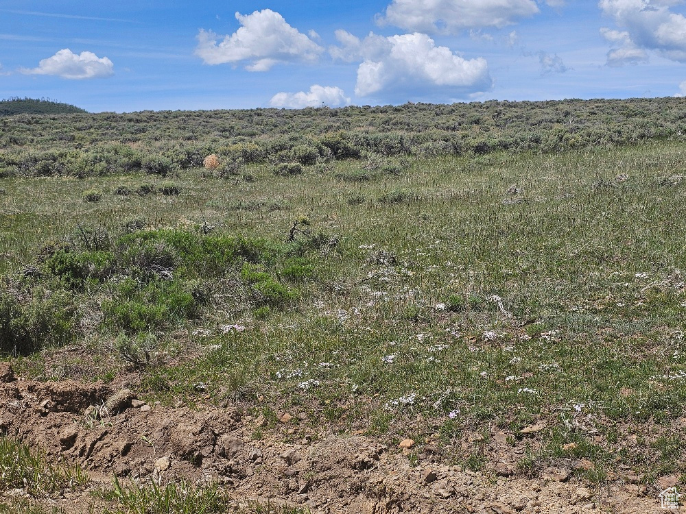 View of undeveloped land