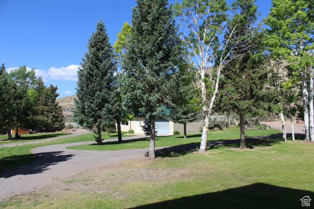 View of home\\\'s community with a lawn and a mountain view