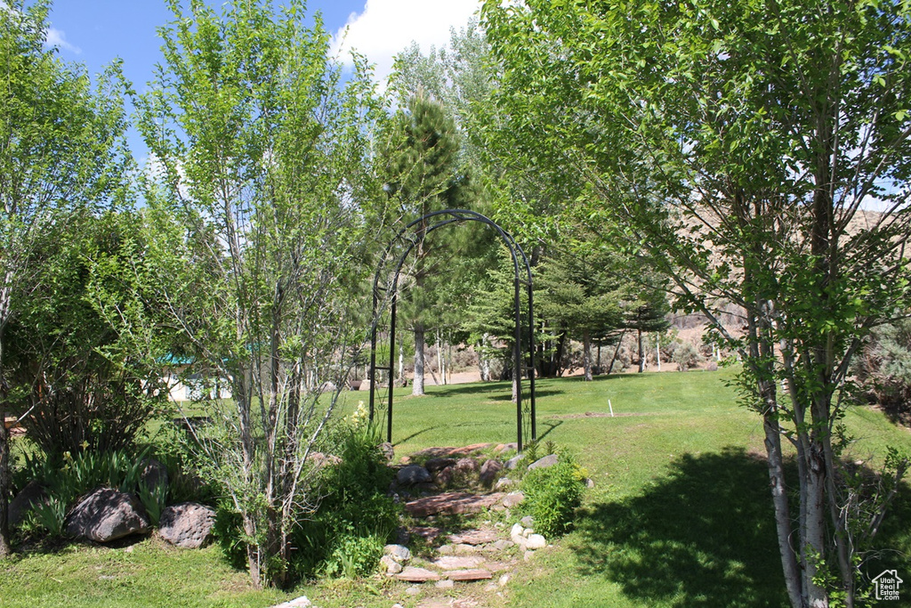 View of green lawn