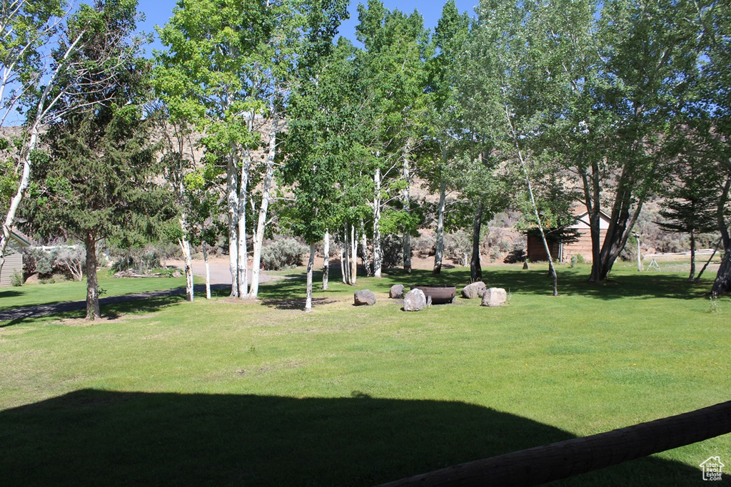 View of green lawn