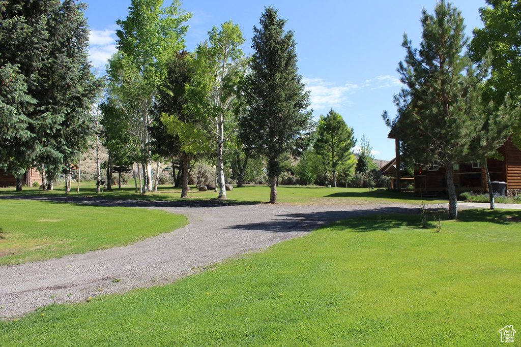 View of home\\\'s community featuring a yard