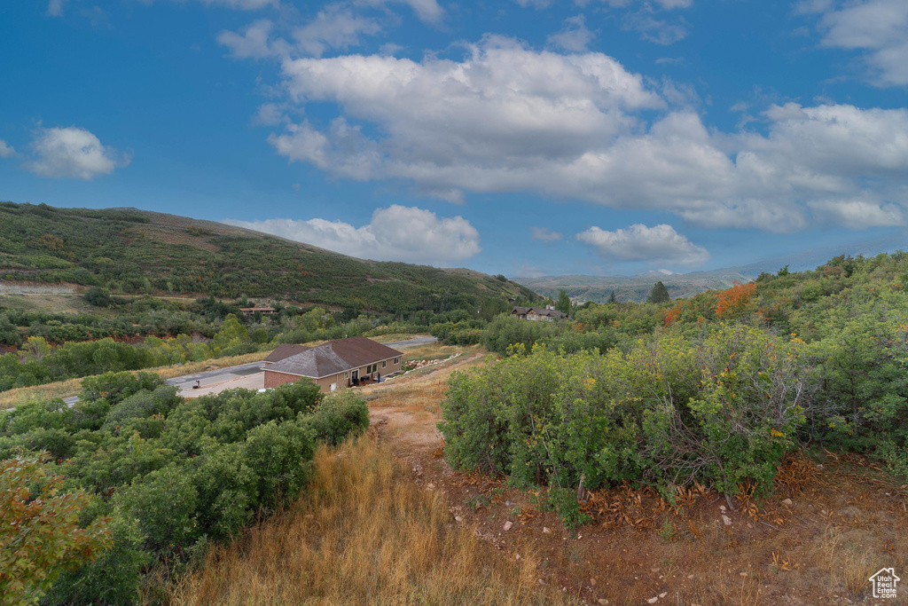 Mountain view