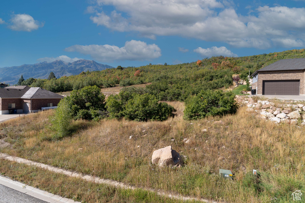 Mountain view