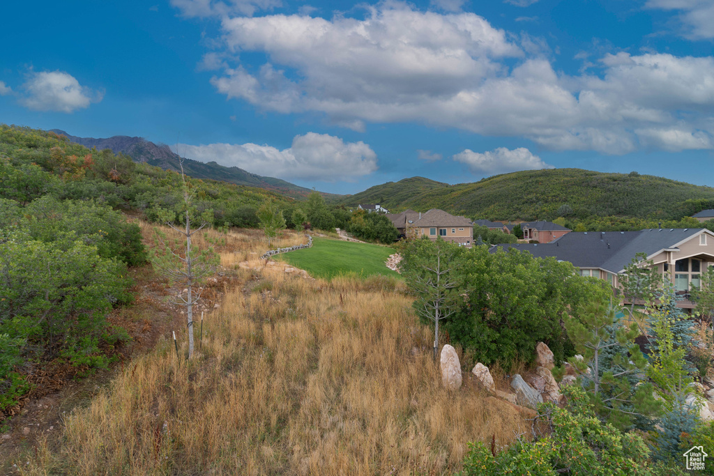 Mountain view