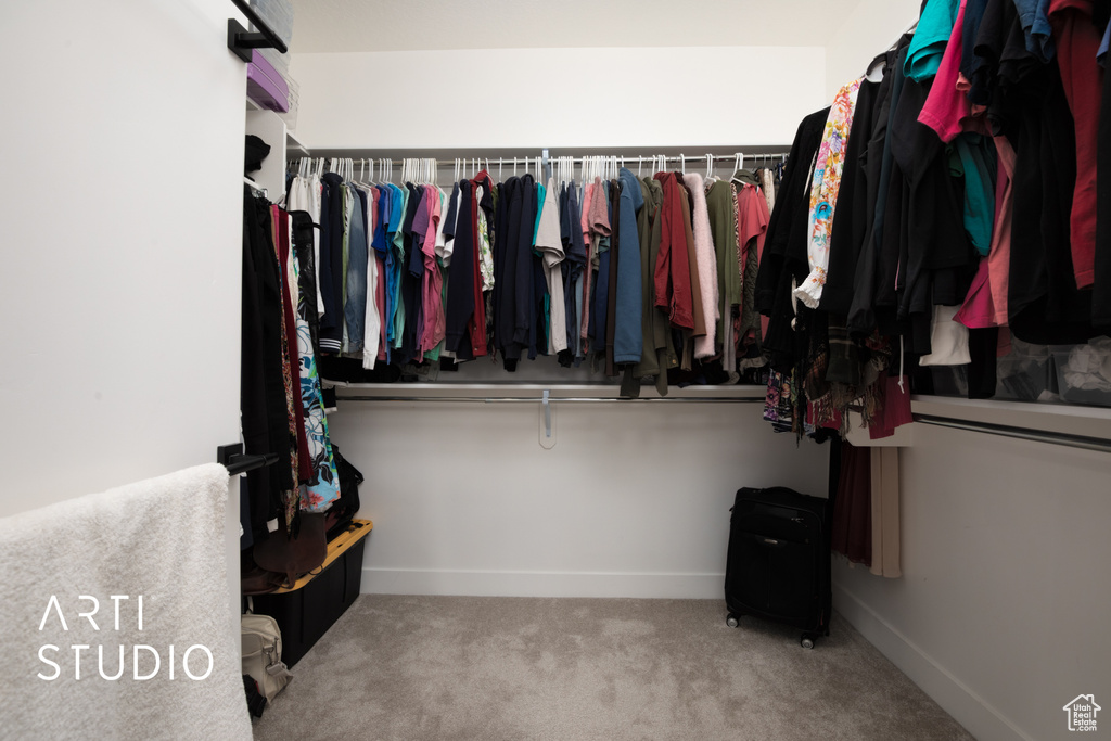 Spacious closet with carpet floors