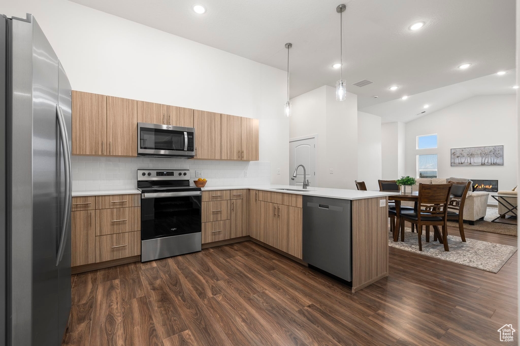 Kitchen with appliances with stainless steel finishes, dark hardwood / wood-style floors, kitchen peninsula, and sink