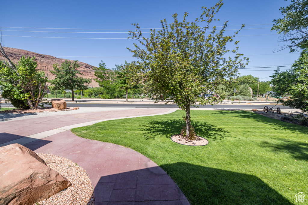 View of grassy yard