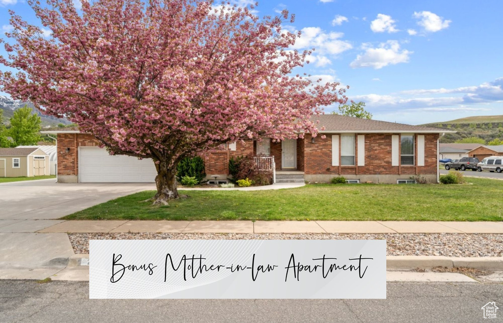 Obstructed view of property featuring brick siding, a front yard, and concrete driveway