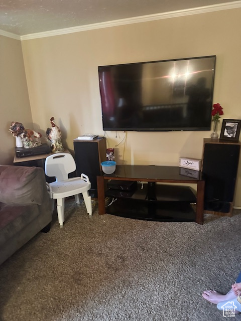 Living room featuring crown molding