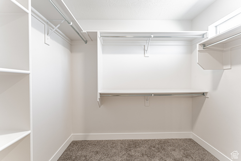 Walk in closet featuring carpet flooring