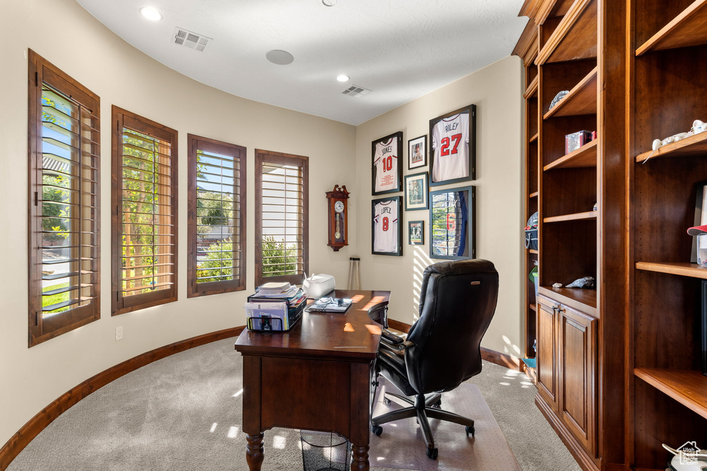 Office area featuring carpet flooring